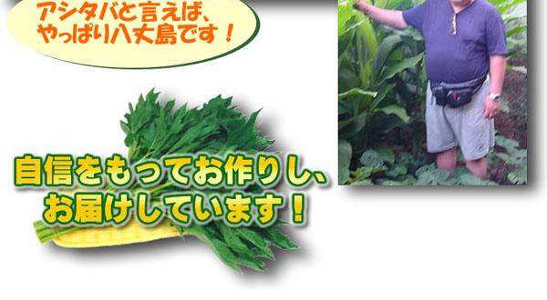 ���䓇�Ԍ����̔��̎В��̎ʐ^